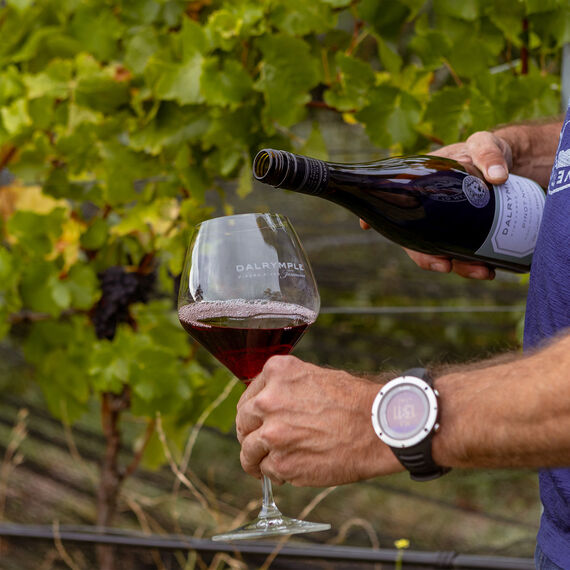 Single Site Coal River Valley Pinot Noir image number null