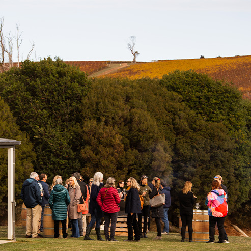 A group of people gathered outdoors at a wine event in a scenic vineyard setting