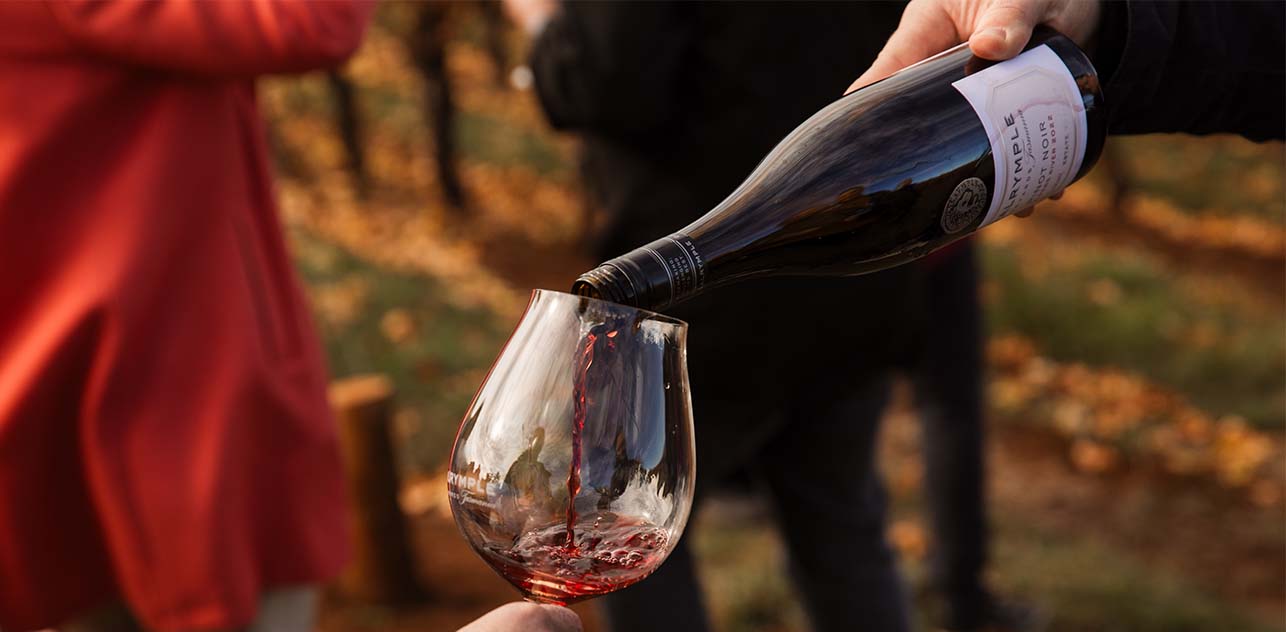 Dalrymple vineayrds Tastings - Peter Caldwell