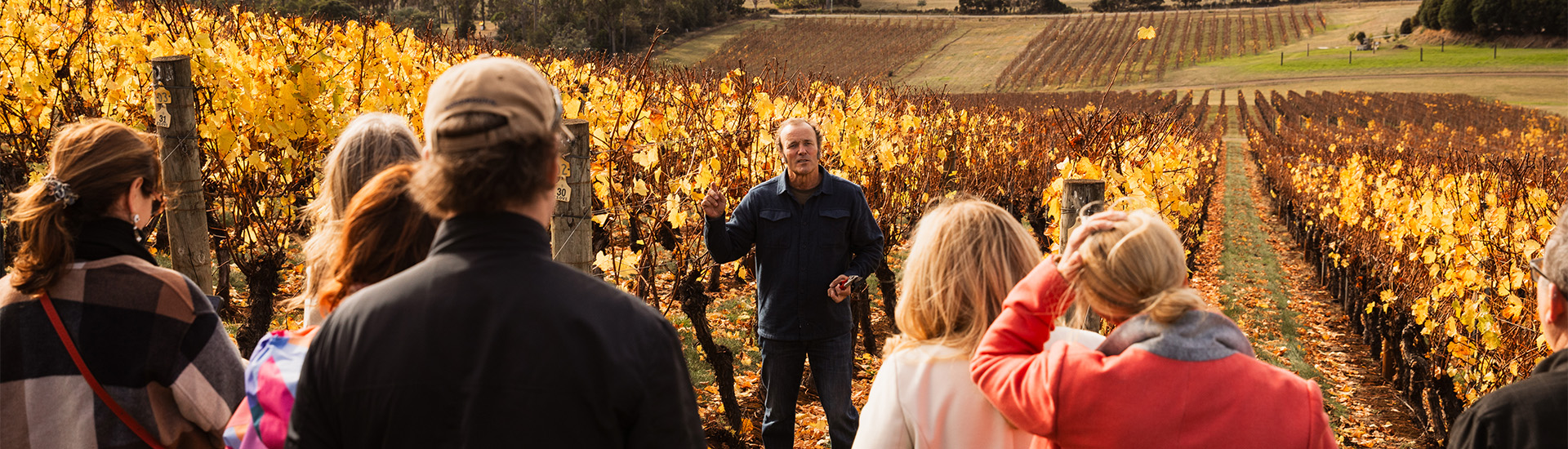Pete Caldwell in the vineyard, taking the luck attendees of Dalrymple Unearthed 2025 through the incredible wines of our Pipers River Estate