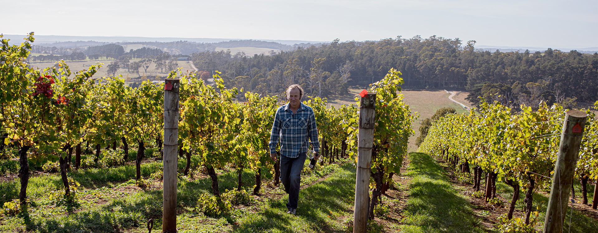 Vigneron Peter Caldwell walking through our pipers river vineyard, with Bottle and Glass of Single Sites Pipers River Pinot Noir in hand.